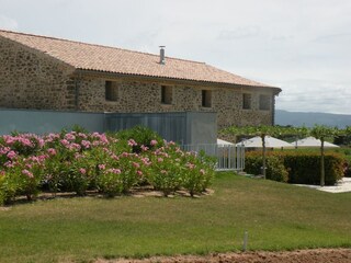 Villa Félines-Minervois Außenaufnahme 4
