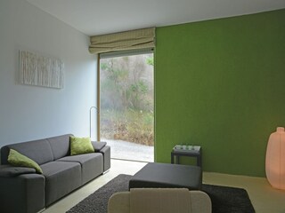 Villa Félines-Minervois Características 13