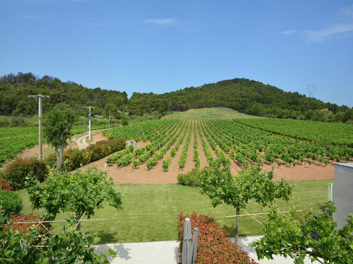 Villa Félines-Minervois Außenaufnahme 12