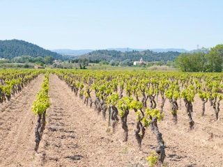 Cottage Montbrun-des-Corbières Umgebung 33