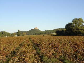 Ferienhaus Saint-Laurent-de-la-Cabrerisse Umgebung 36