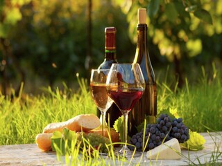 Casa per le vacanze Pierrefiche  25