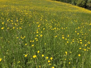 Vakantiehuis Nauviale Omgeving 27