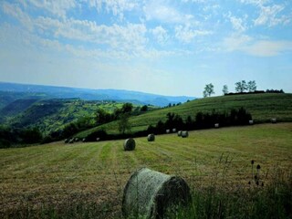 Casa de vacaciones Nauviale Entorno 35