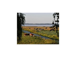 Vakantiehuisje Canchy Omgeving 37