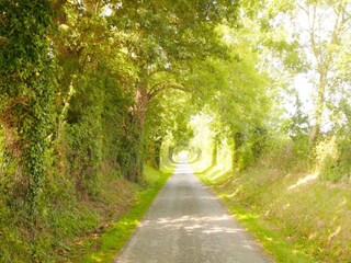 Holiday cottage Canchy Environment 24