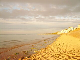 Vakantiehuisje Canchy Omgeving 37