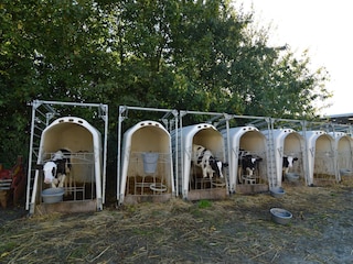 Holiday house Brévands Environment 33