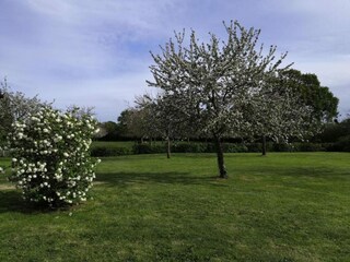 Casa de vacaciones Brévands Entorno 36