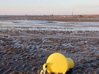 Casa per le vacanze Brévands Ambiente 36