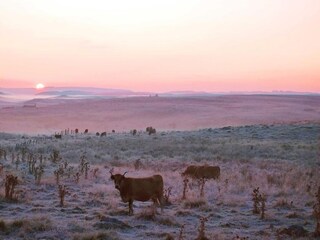 Casa per le vacanze Oradour Ambiente 35
