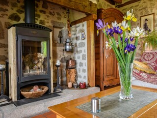 Vakantiehuisje Sousceyrac  38