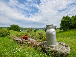 Type de propriété : Chalet Sousceyrac Enregistrement extérieur 17