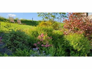 Cottage Sousceyrac  38