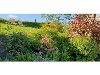 Landhaus Sousceyrac  39