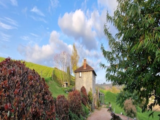 Landhaus Sousceyrac Außenaufnahme 18