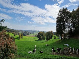 Landhaus Sousceyrac Außenaufnahme 10