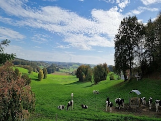 Landhaus Sousceyrac Außenaufnahme 22