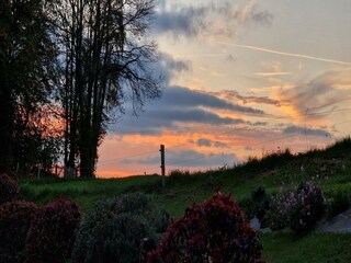 Landhaus Sousceyrac Außenaufnahme 13