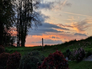 Type de propriété : Chalet Sousceyrac Enregistrement extérieur 23