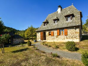 Ferienhaus Steinhaus mit Terrasse in der Auvergne - Calvinet - image1