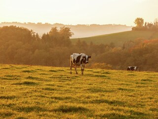 Casa per le vacanze Calvinet Ambiente 27