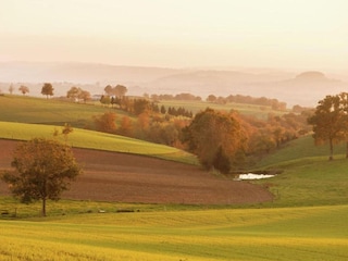Maison de vacances Calvinet Environnement 31