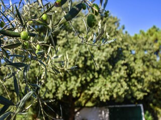 Vakantiehuis Sainte-Marie-de-Ré  24