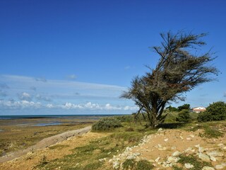 Casa per le vacanze Sainte-Marie-de-Ré Ambiente 20