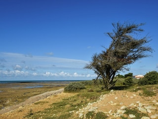 Ferienhaus Sainte-Marie-de-Ré Umgebung 20