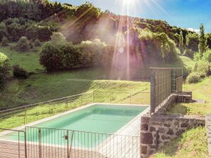 Villa à Sérilhac avec piscine privée - Ménoire - image1