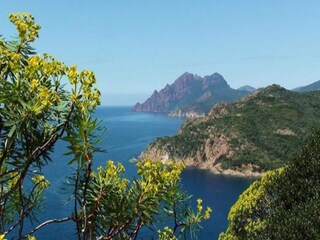 Maison de vacances Piana Environnement 35