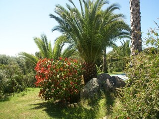 Villa Calcatoggio Buitenaudio-opname 2