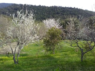 Holiday house Taglio-Isolaccio Outdoor Recording 5