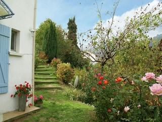 Ferienhaus Taglio-Isolaccio Außenaufnahme 3