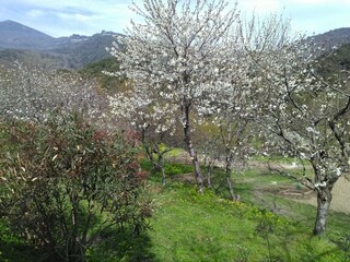 Holiday house Taglio-Isolaccio Environment 21