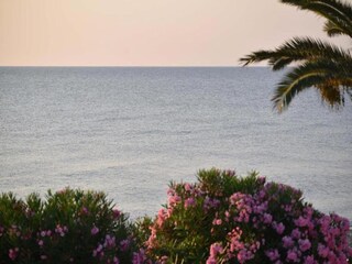 Casa per le vacanze Taglio-Isolaccio Ambiente 26