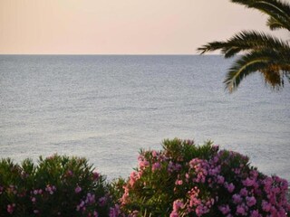 Holiday house Taglio-Isolaccio Environment 21