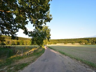 Maison de vacances Sennevoy-le-Bas Environnement 30