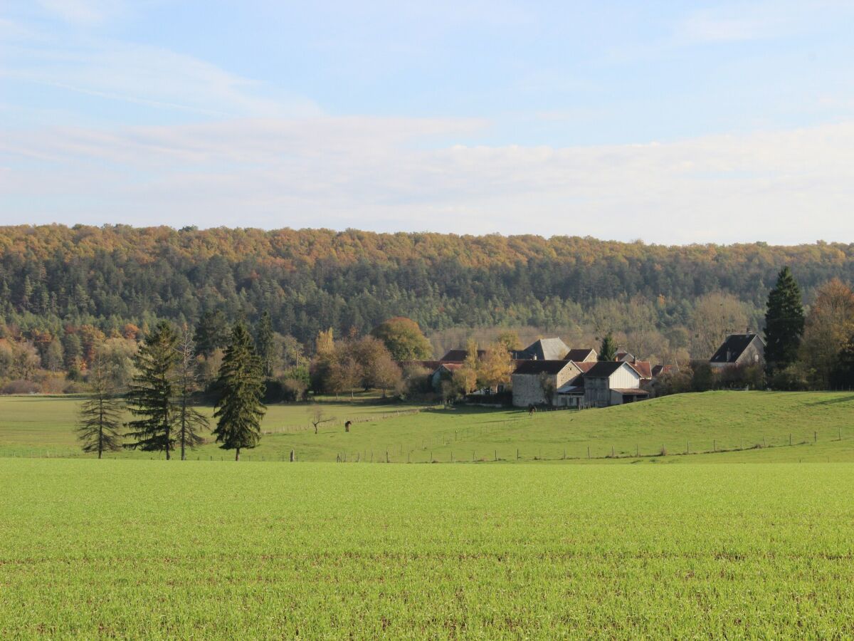 Ferienhaus Sennevoy-le-Bas Umgebung 29