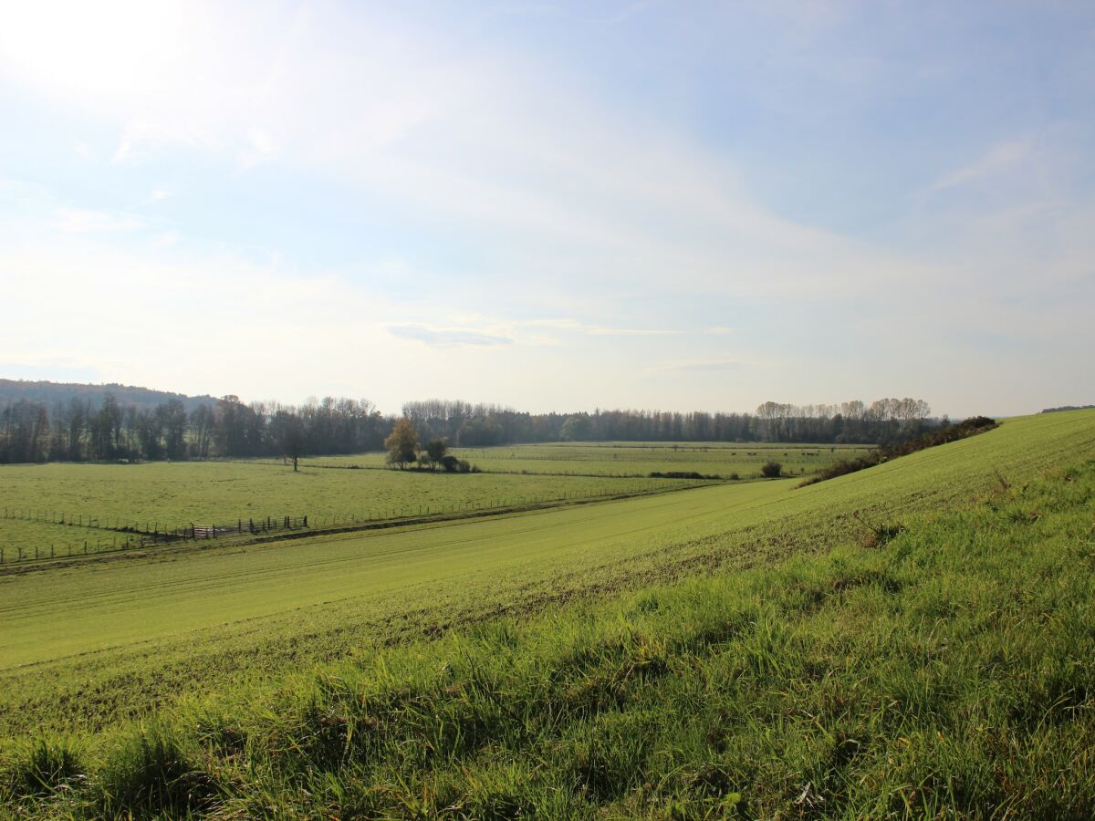 Ferienhaus Sennevoy-le-Bas Umgebung 30