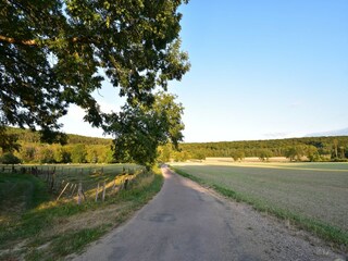 Vakantiehuis Sennevoy-le-Bas Omgeving 31
