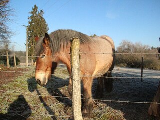 Casa de vacaciones Sennevoy-le-Bas Entorno 29