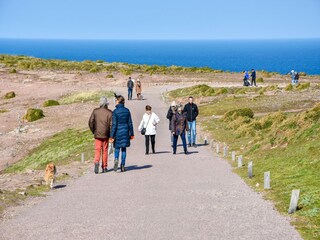 Vakantiehuis Plurien Omgeving 31