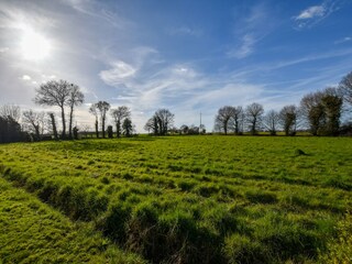 Maison de vacances Lanrelas Environnement 31