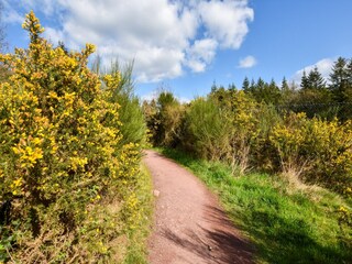 Maison de vacances Lanrelas Environnement 29