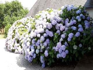 Ferienhaus La Bouillie  39