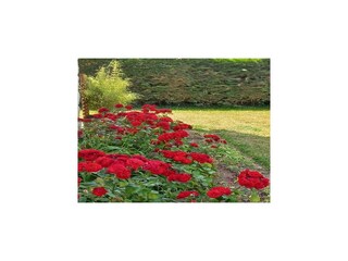 Holiday house La Bouillie Outdoor Recording 12