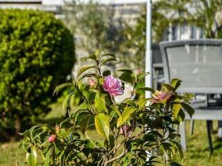 Vakantiehuis Erquy  40