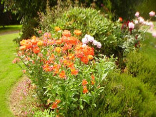 Maison de vacances Prat Enregistrement extérieur 9